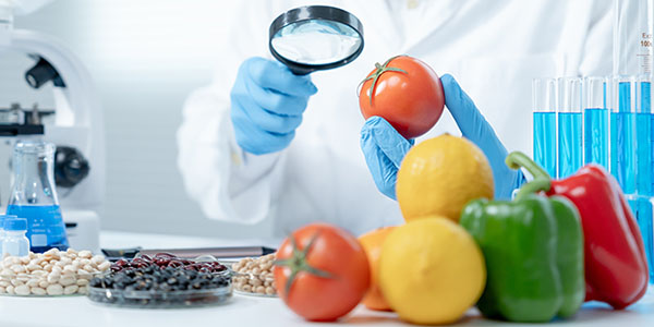 SICUREZZA E HACCP SICUREZZA E HACCP
